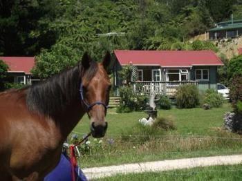 The Sandcastle Holiday park Pohara